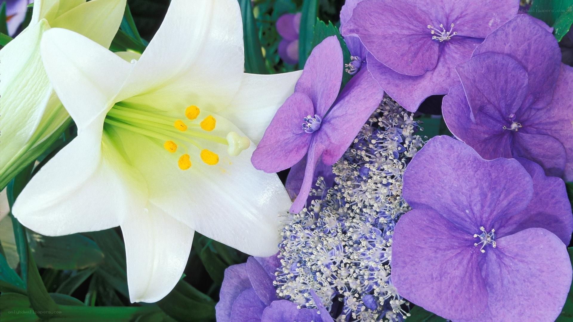 white lily and purple hydrangea