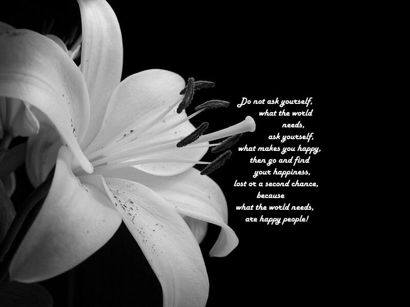 White Lily Flower — Black, Serene, Photograph