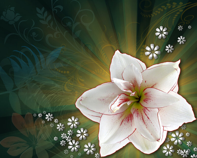White Lily Flower — Green, Serene, Digital Art