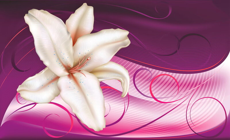 White Lily Flower — Purple