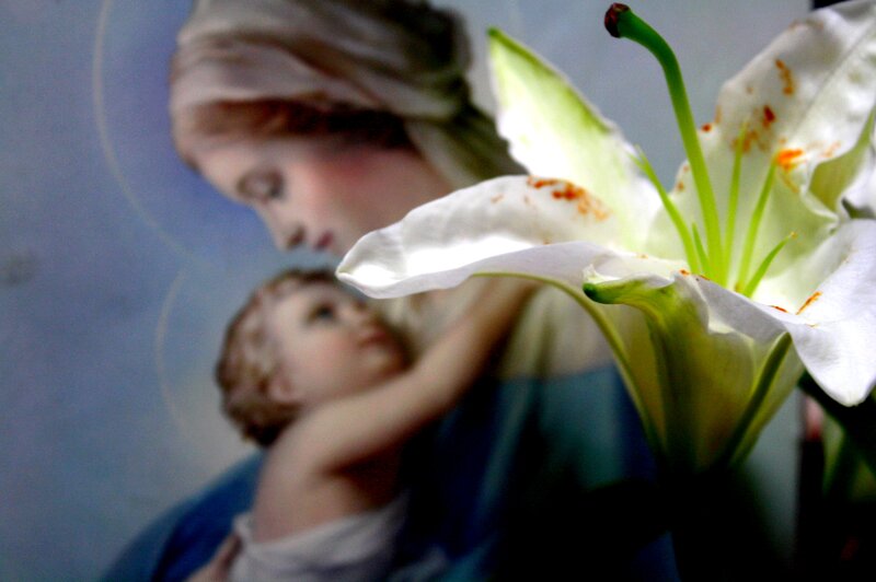 White Lily Flower — Serene, Photograph, Statue
