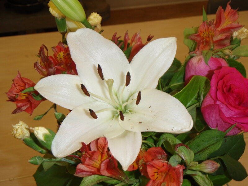 White Lily in Bouquet — Calm