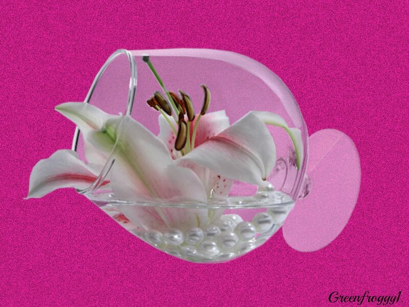 White Lily in Glass Bowl — Pink