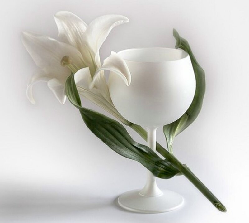 White Lily in Goblet