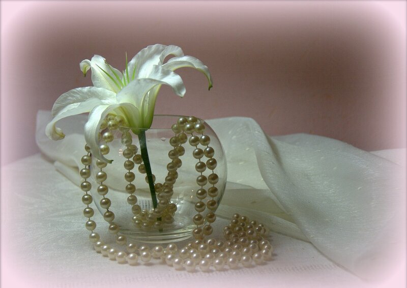 White Lily in Vase