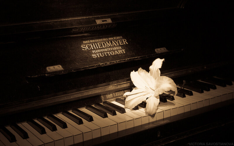 White Lily on Piano