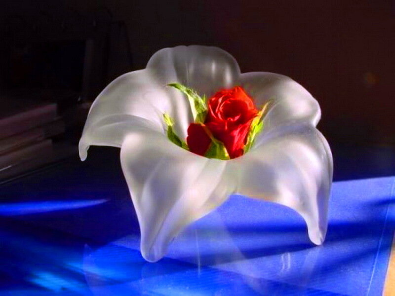 White Lily Vase with Rose