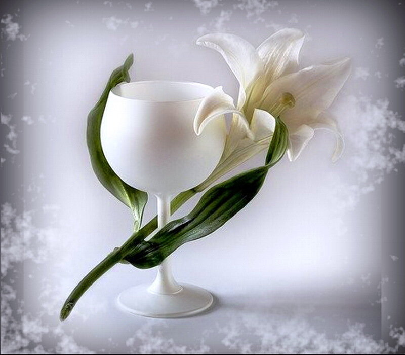 White Lily with Goblet