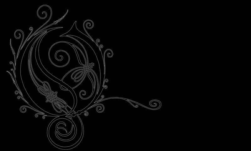 white line art design