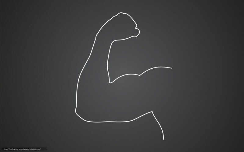 white line drawing of a bicep