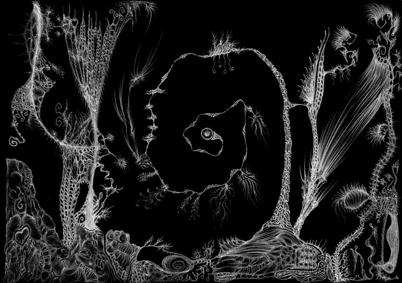 White Line Drawings on Black