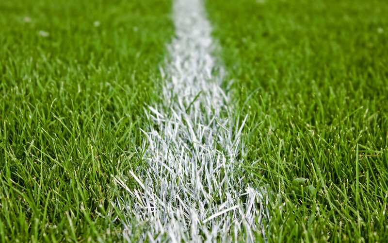 white line on green grass