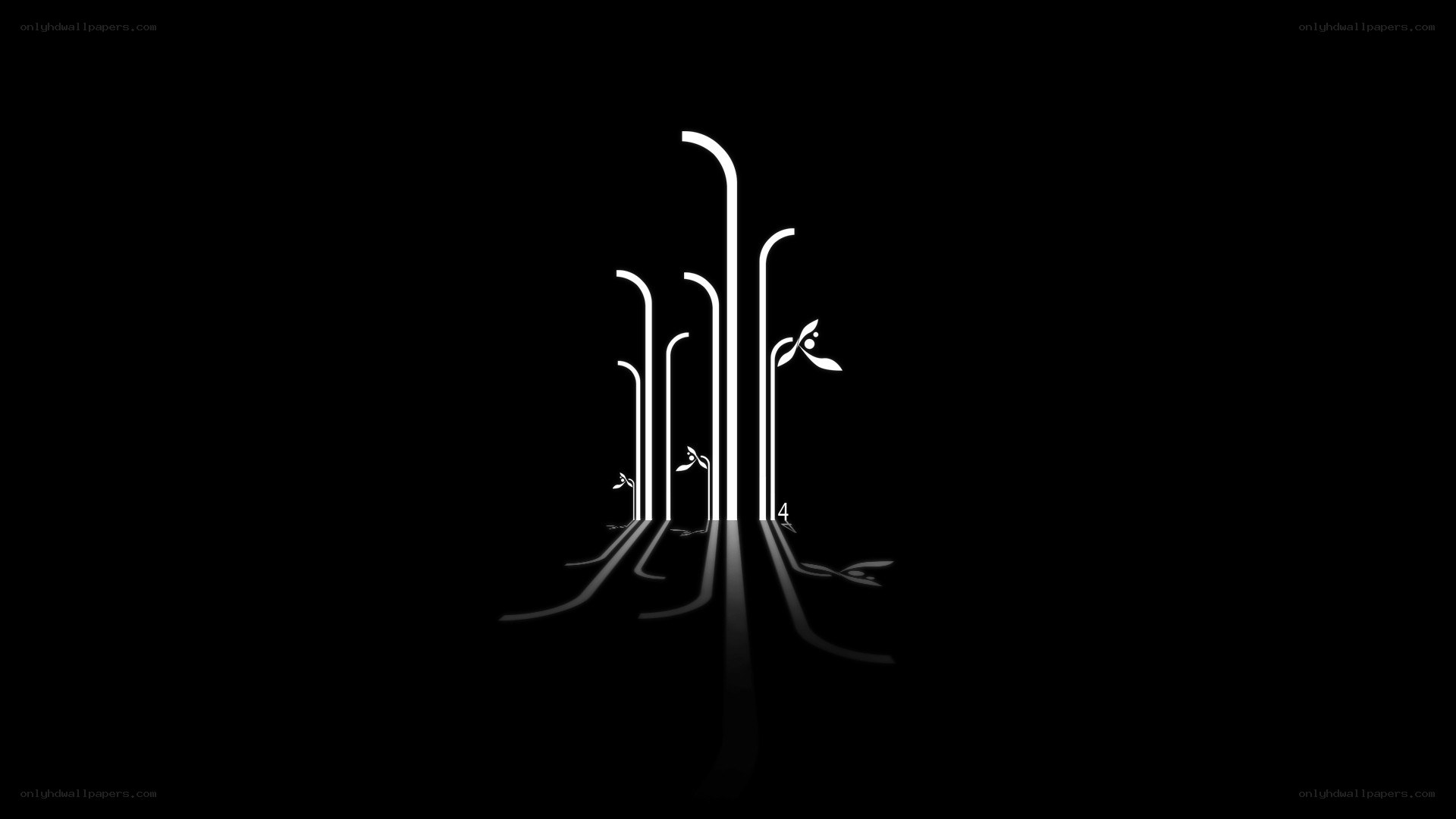 white lines on black background