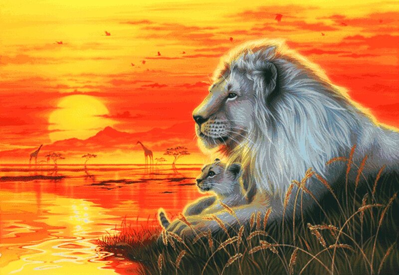 White Lion and Cub — Orange