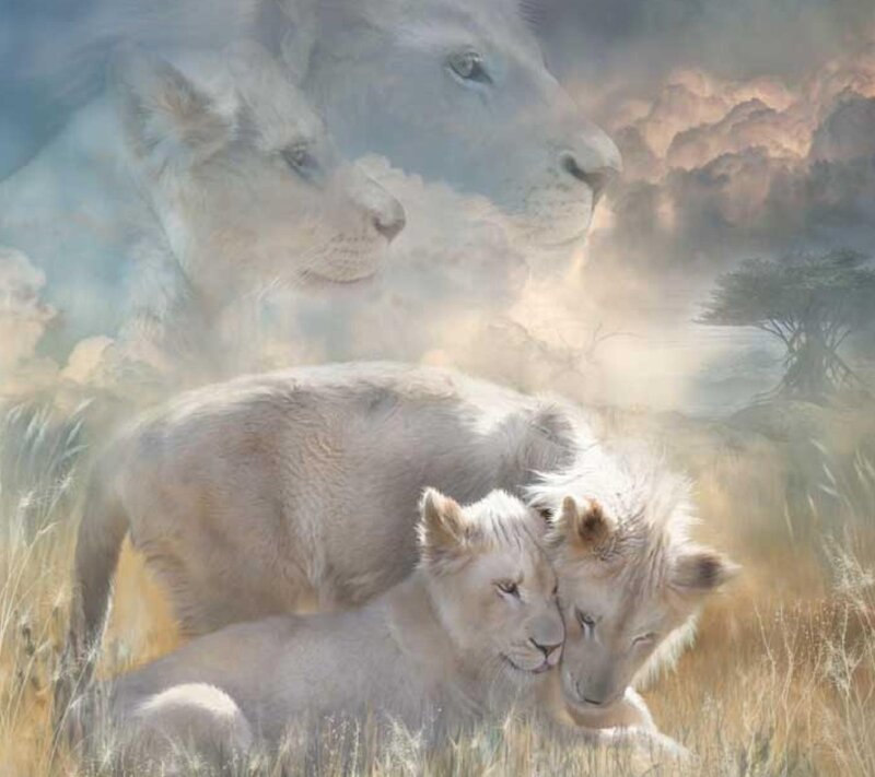 White Lion Cubs — Beige