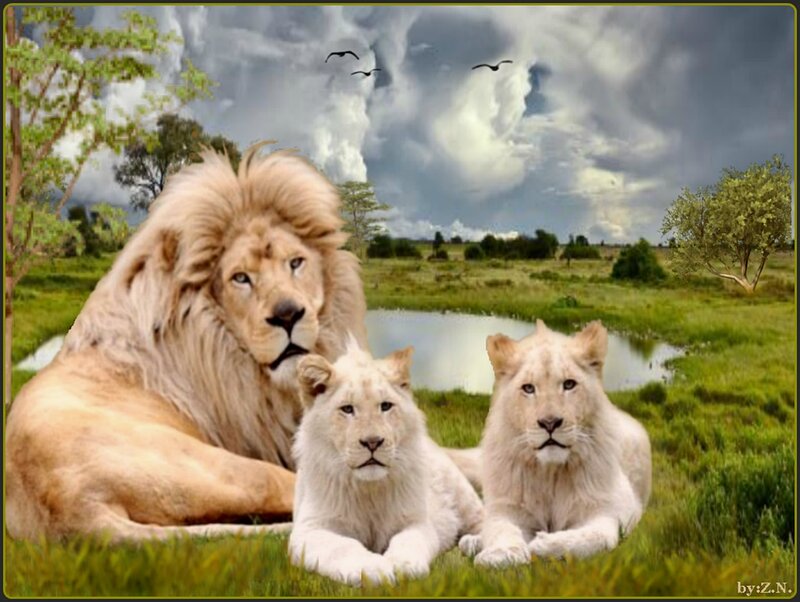 White Lion Family — Green, Dramatic