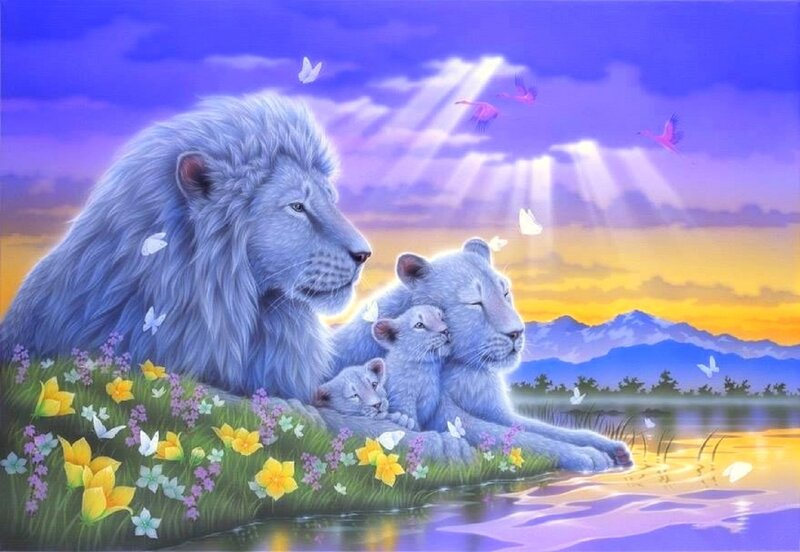 White Lion Family — Purple