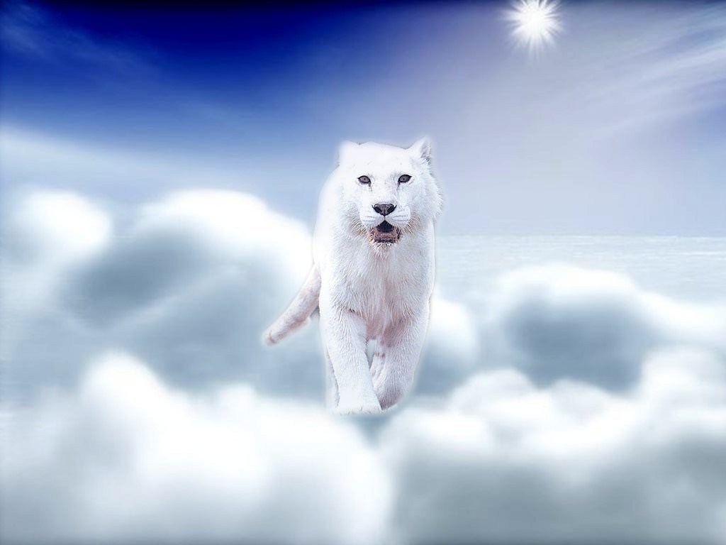 White lion in the clouds