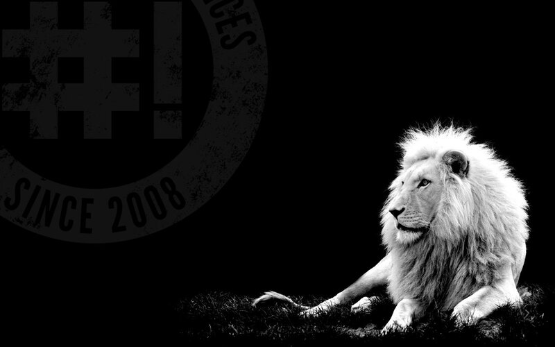 White Lion Lying Down — Black, Dramatic, Photograph, Grass