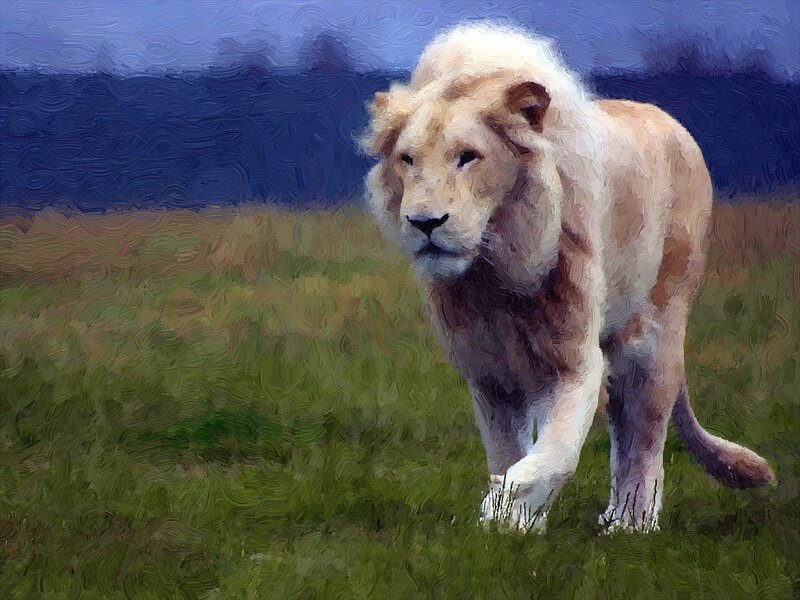 White Lion Walking — Green