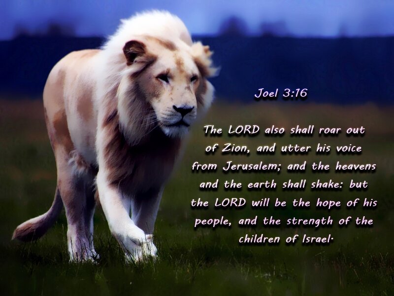 White Lion Walking