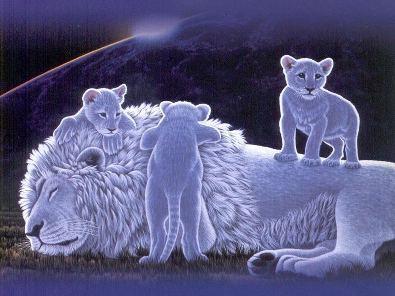 White Lion with Cubs