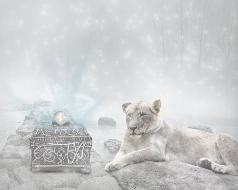White Lioness on Rocks