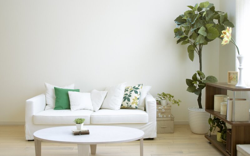 White living room with plants