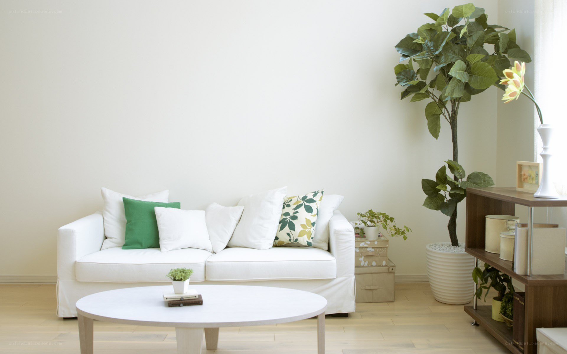 White living room with plants