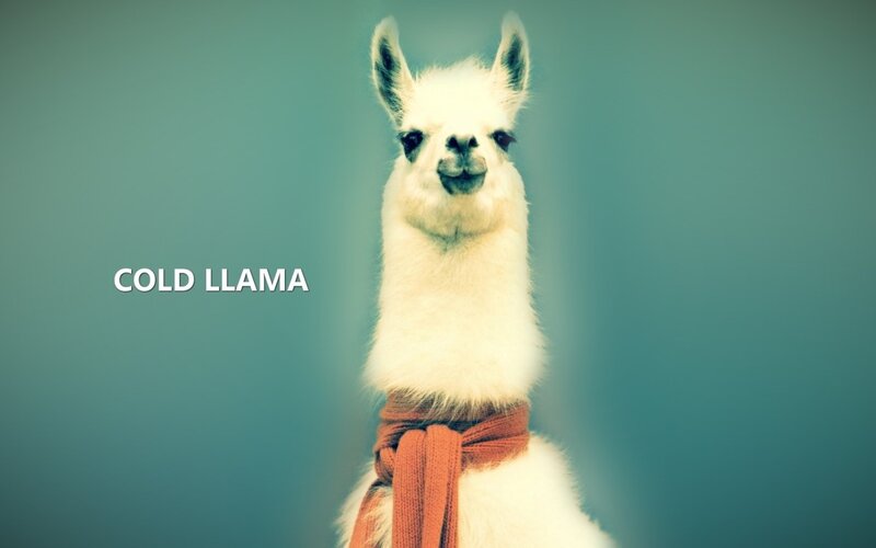 White Llama with Scarf — Teal