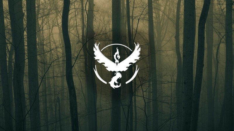 White Logo in Forest