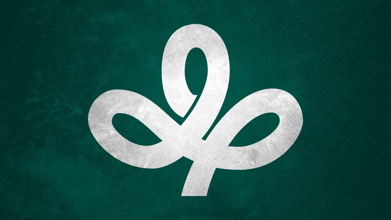 White Logo on Green — Minimalist, Vector Art
