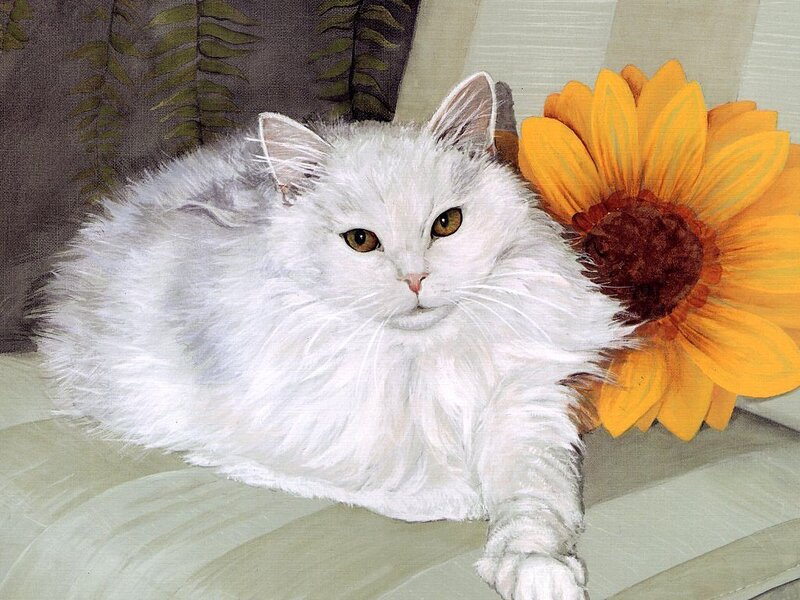 White Long-haired Cat — Calm, Painting