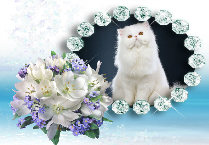 White Long-haired Cat — Serene, Digital Art