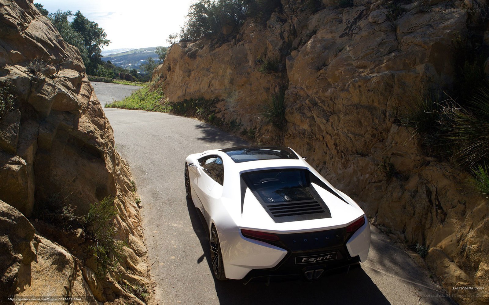White Lotus Esprit on a winding road