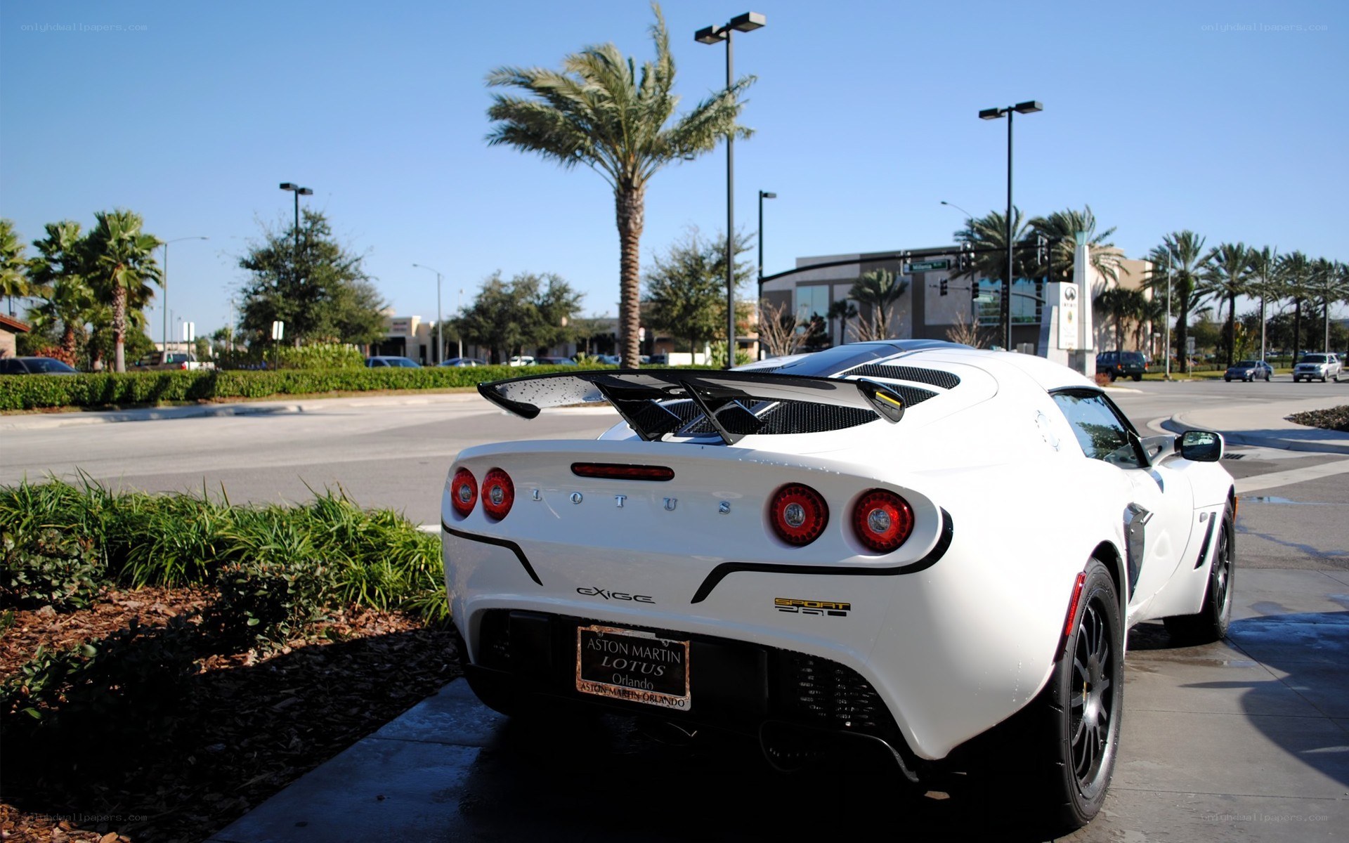 White Lotus Exige parked outside