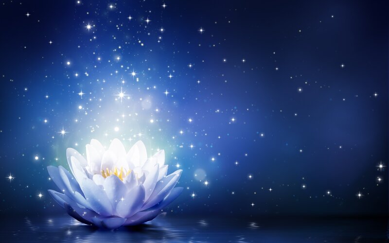 White Lotus Flower — Blue, Serene, Night, Digital Art, Stars