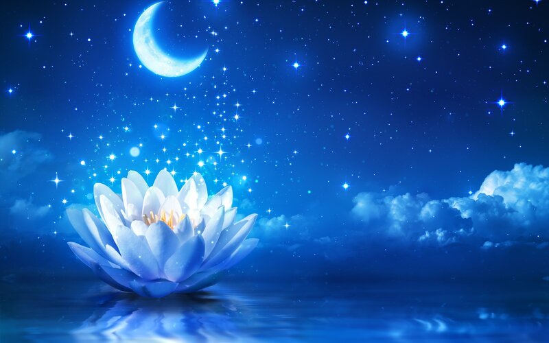 White Lotus Flower — Blue, Serene, Night, Digital Art