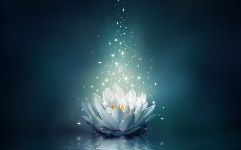 White Lotus Flower — Blue, Serene, Night