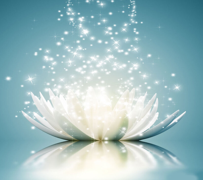 White Lotus Flower — Serene, Digital Art, Sparkles