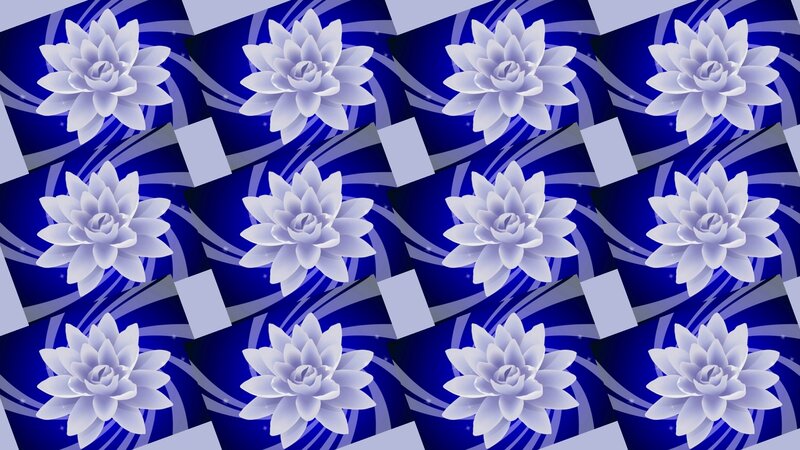 White Lotus Flowers — Blue, Calm