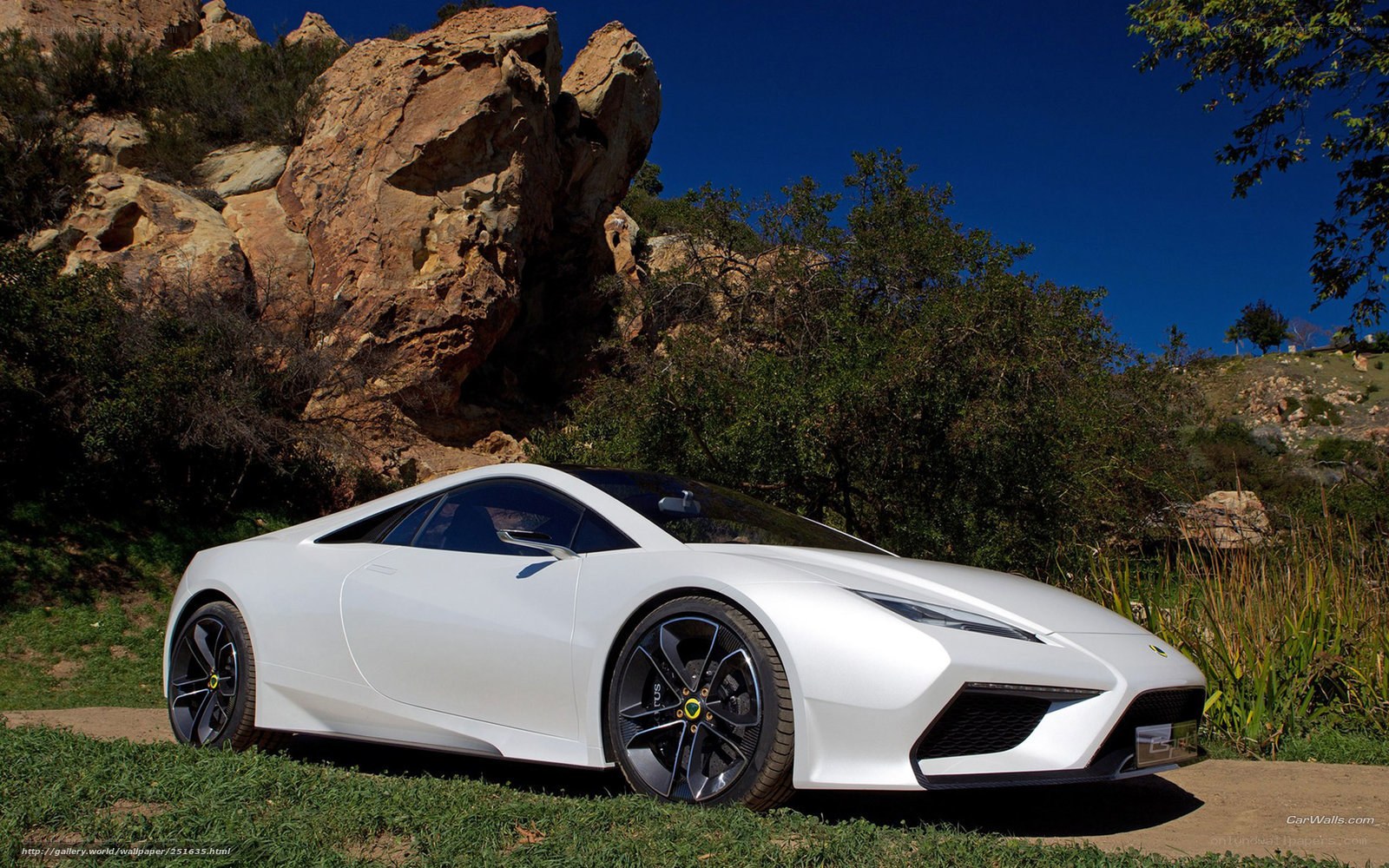 White Lotus sports car in nature