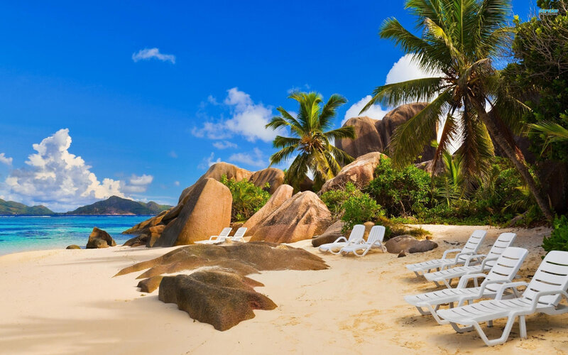 White Lounge Chairs on Beach — Blue, Serene, Afternoon, Photograph, Palm Trees