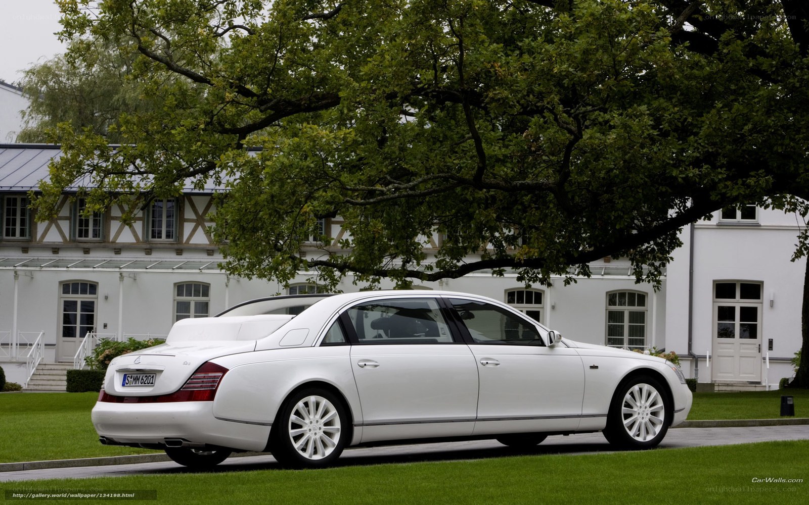 white luxury car parked