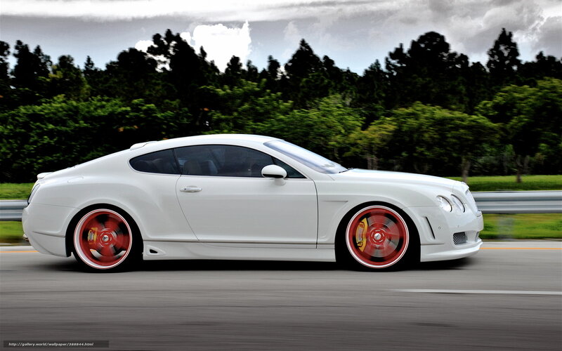 White Luxury Coupe — Dynamic