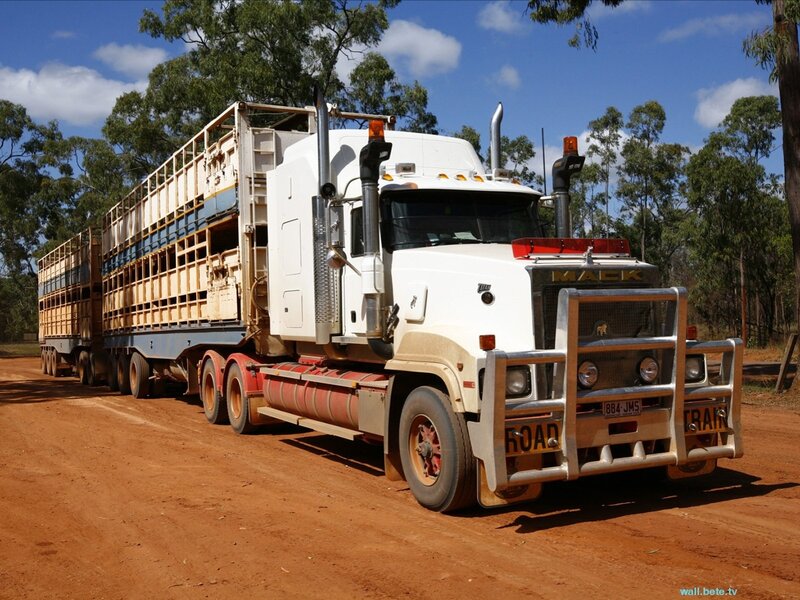 White Mack truck on dirt road