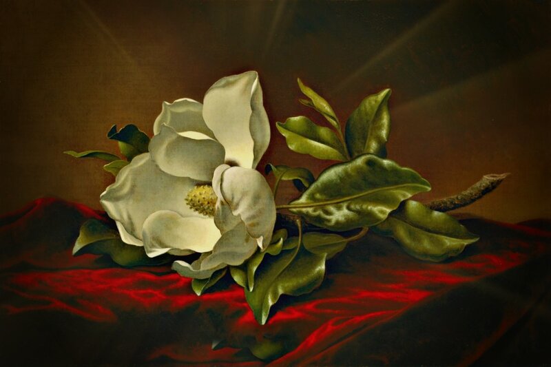 White Magnolia Flower — Dramatic, Painting, Leaves