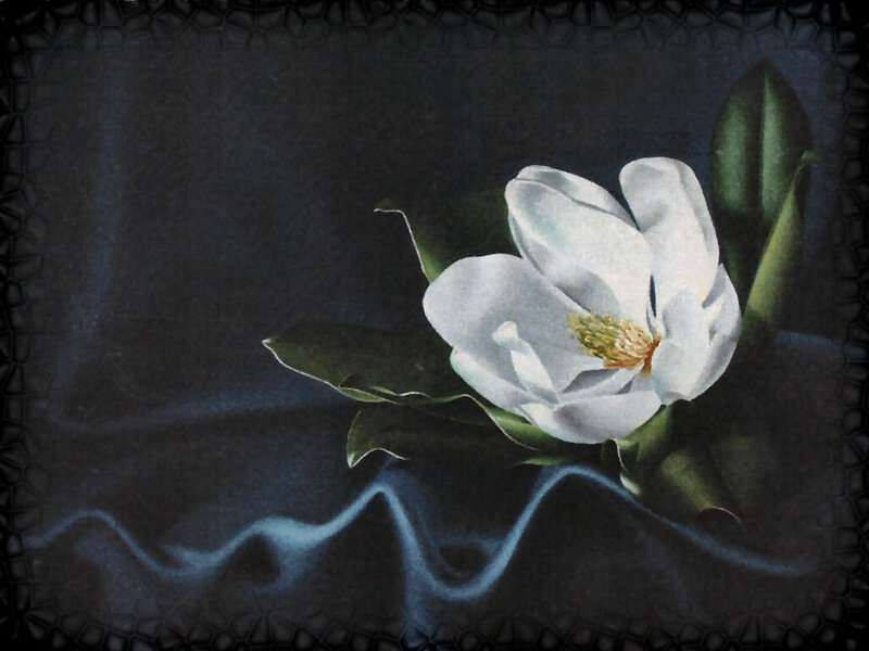White Magnolia Flower — Dramatic, Painting