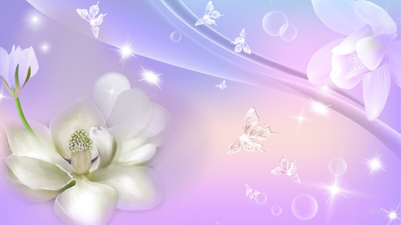 White Magnolia Flower — Purple