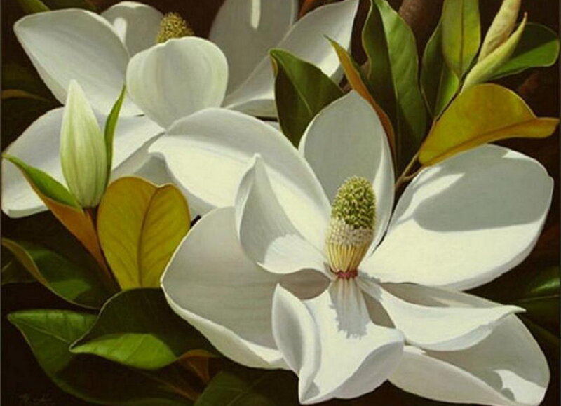 White Magnolia Flower — Serene, Painting